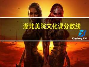 湖北美院文化课分数线