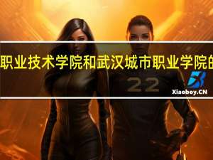湖北职业技术学院和武汉城市职业学院的专业对比