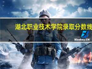 湖北职业技术学院录取分数线