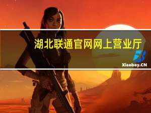 湖北联通官网网上营业厅（湖北联通网上营业厅网）