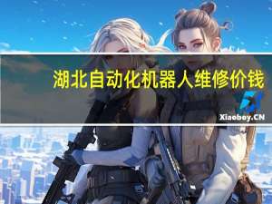湖北自动化机器人维修价钱