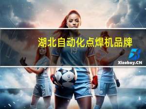 湖北自动化点焊机品牌