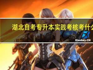 湖北自考专升本实践考核考什么