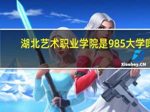 湖北艺术职业学院是985大学吗