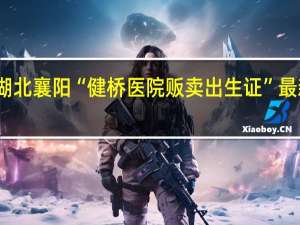 湖北襄阳“健桥医院贩卖出生证”最新通报：院长叶某芝等6名犯罪嫌疑人已被检察机关批准逮捕
