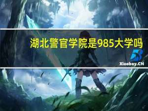 湖北警官学院是985大学吗