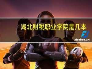 湖北财税职业学院是几本