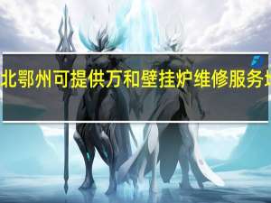 湖北鄂州可提供万和壁挂炉维修服务地址在哪