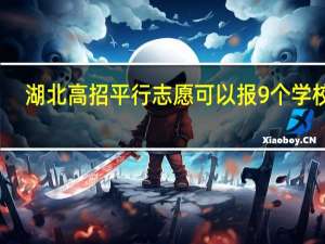 湖北高招平行志愿可以报9个学校吗