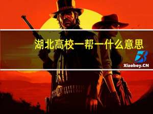 湖北高校一帮一什么意思