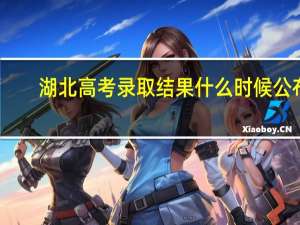 湖北高考录取结果什么时候公布
