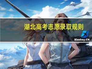 湖北高考志愿录取规则