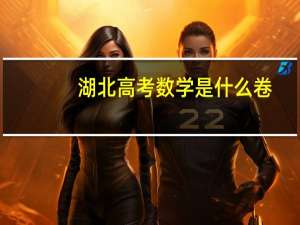 湖北高考数学是什么卷