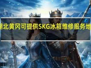 湖北黄冈可提供SKG冰箱维修服务地址在哪