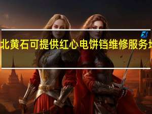 湖北黄石可提供红心电饼铛维修服务地址在哪