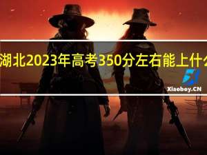 湖北2023年高考350分左右能上什么大学