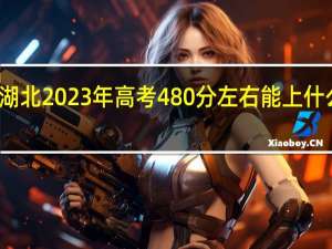 湖北2023年高考480分左右能上什么大学