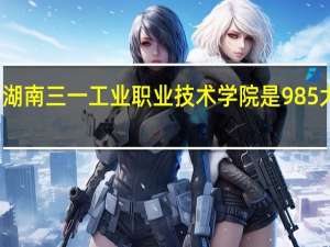 湖南三一工业职业技术学院是985大学吗