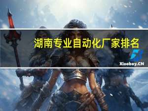 湖南专业自动化厂家排名