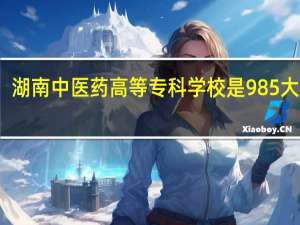湖南中医药高等专科学校是985大学吗