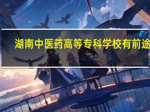 湖南中医药高等专科学校有前途吗