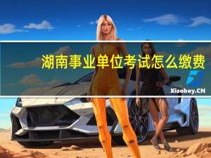 湖南事业单位考试怎么缴费