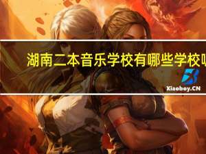湖南二本音乐学校有哪些学校呢