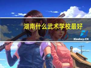 湖南什么武术学校最好，本人想专学散打
