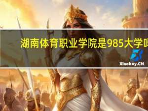 湖南体育职业学院是985大学吗