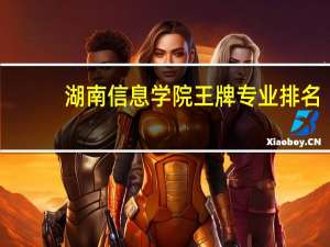 湖南信息学院王牌专业排名