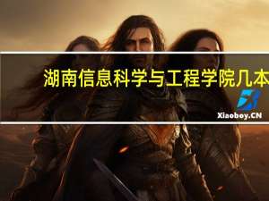 湖南信息科学与工程学院几本