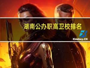 湖南公办职高卫校排名