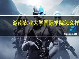 湖南农业大学国际学院怎么样
