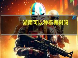 湖南可以种杨梅树吗