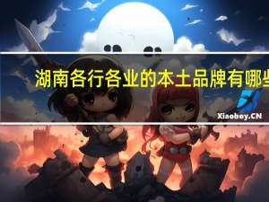 湖南各行各业的本土品牌有哪些