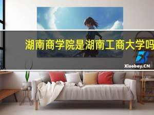 湖南商学院是湖南工商大学吗