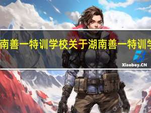 湖南善一特训学校 关于湖南善一特训学校简介