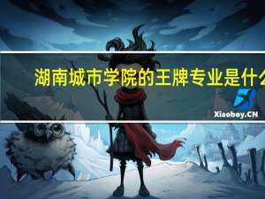 湖南城市学院的王牌专业是什么