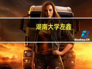 湖南大学左鑫（左健-湖南大学公共管理学院教授简介）