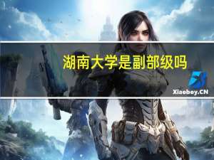 湖南大学是副部级吗