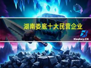 湖南娄底十大民营企业