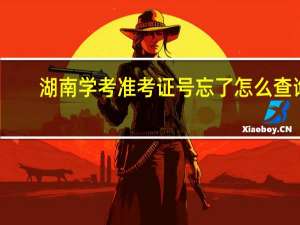 湖南学考准考证号忘了怎么查询