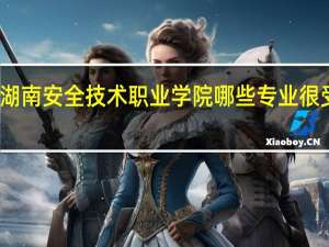 湖南安全技术职业学院哪些专业很受欢迎