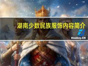 湖南少数民族服饰内容简介
