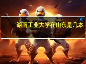 湖南工业大学在山东是几本