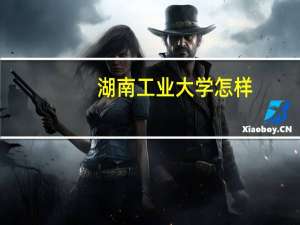 湖南工业大学怎样