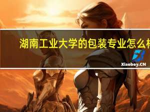 湖南工业大学的包装专业怎么样