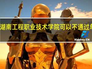 湖南工程职业技术学院可以不通过单招吗