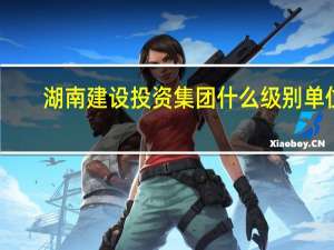 湖南建设投资集团什么级别单位