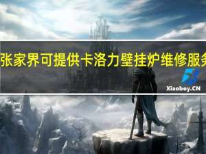 湖南张家界可提供卡洛力壁挂炉维修服务地址在哪